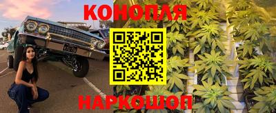 прущие грибы Изобильный