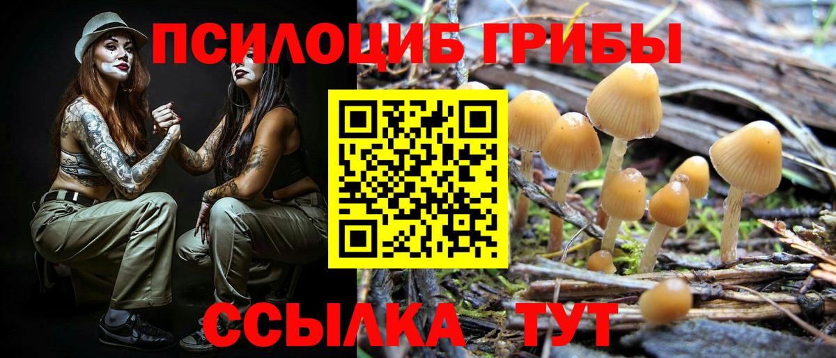 Псилоцибиновые грибы GOLDEN TEACHER Магнитогорск