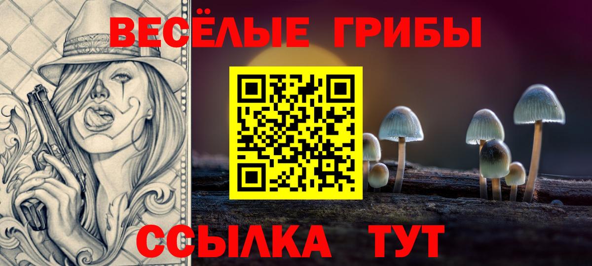 Галлюциногенные грибы GOLDEN TEACHER  где купить наркоту  Магнитогорск  Вход с VPN 